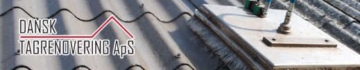 tag-rens.dk :: DANSK TAGRENOVERING. :: ...