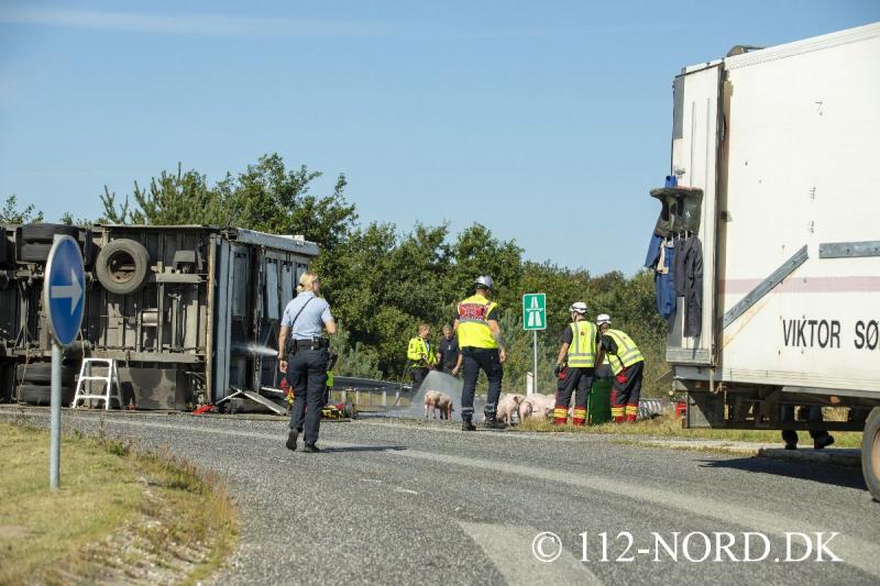 24082026-grisetransport-vaelte_t2_18.jpg