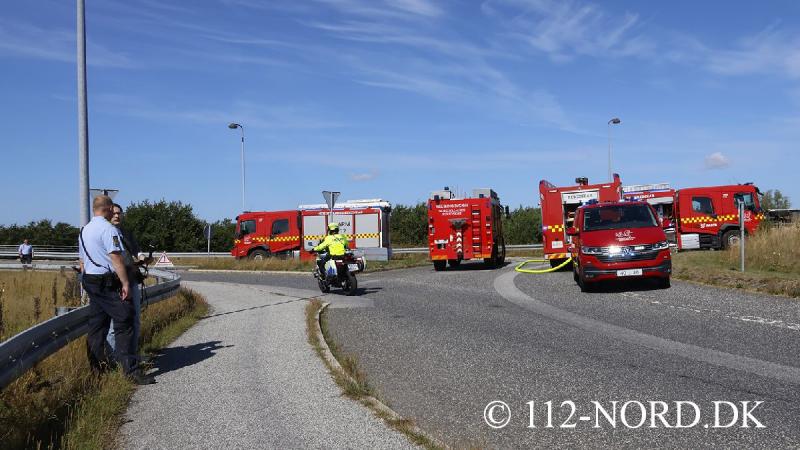 24082026-grisetransport-vaelte_t2_19.jpg
