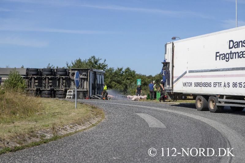 24082026-grisetransport-vaelte_t2_2.jpg