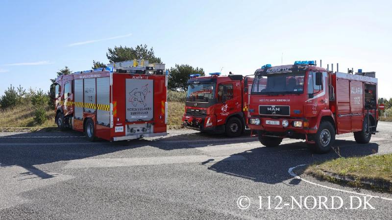 24082026-grisetransport-vaelte_t2_26.jpg
