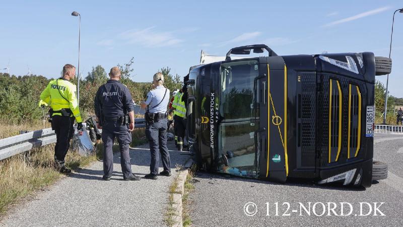 24082026-grisetransport-vaelte_t2_27.jpg