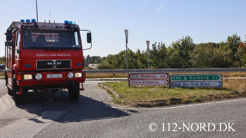 24082026-grisetransport-vaelte_t2_32.jpg