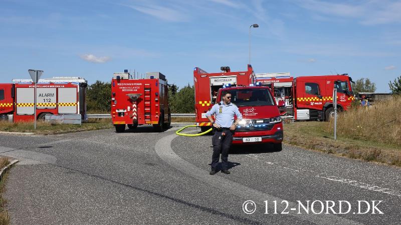 24082026-grisetransport-vaelte_t2_38.jpg