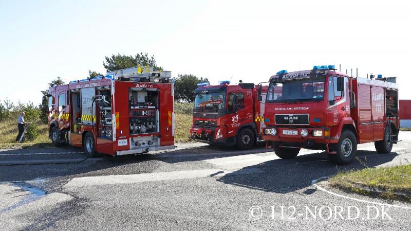 24082026-grisetransport-vaelte_t2_54.jpg