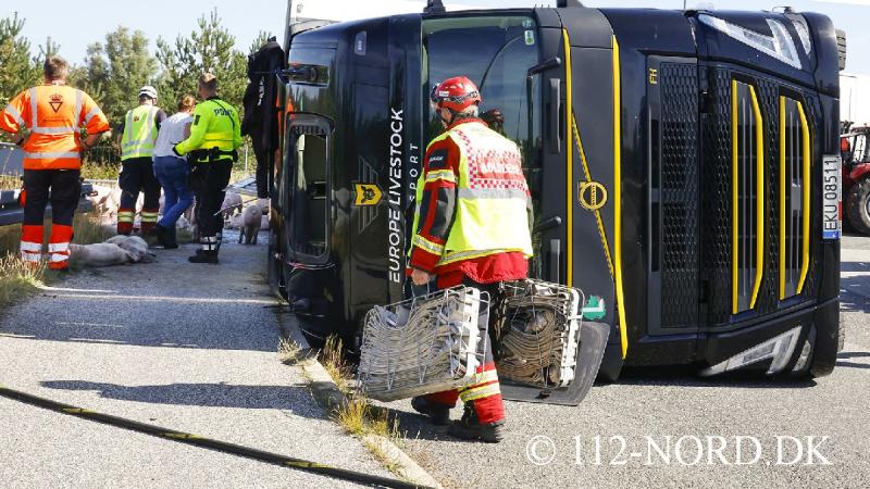 24082026-grisetransport-vaelte_t2_55.jpg
