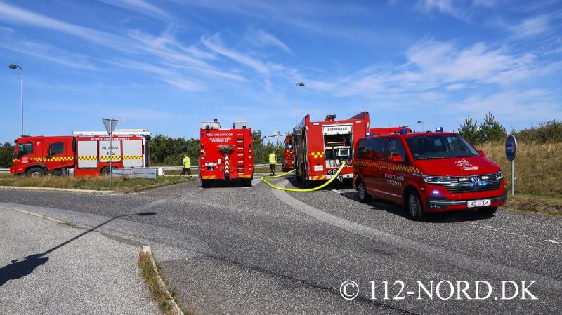 24082026-grisetransport-vaelte_t2_60.jpg