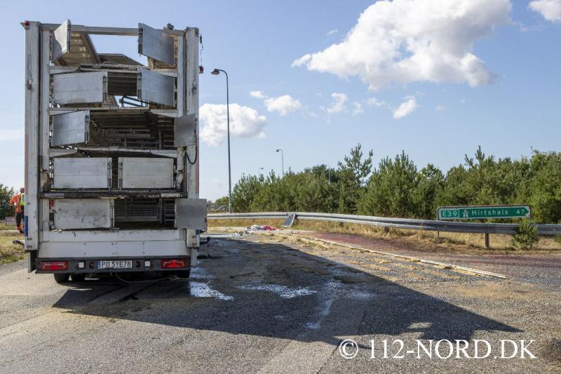 24082026-grisetransport-vaelte_t2_67.jpg