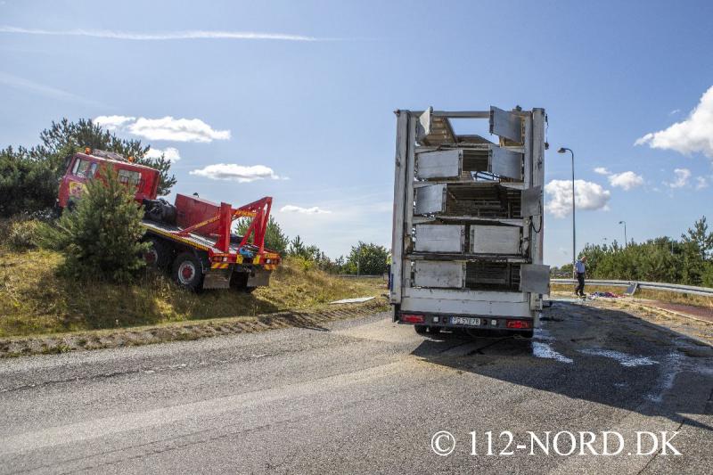 24082026-grisetransport-vaelte_t2_68.jpg