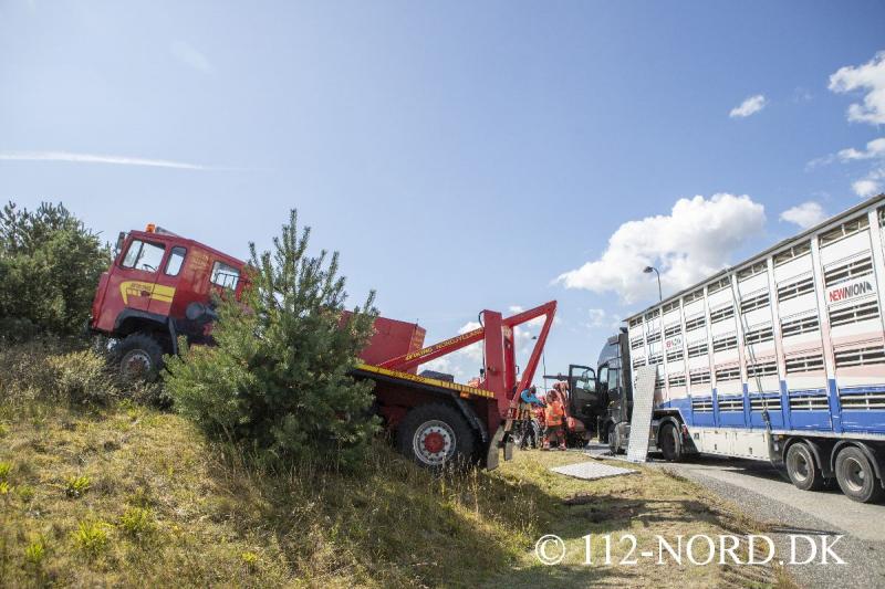 24082026-grisetransport-vaelte_t2_69.jpg