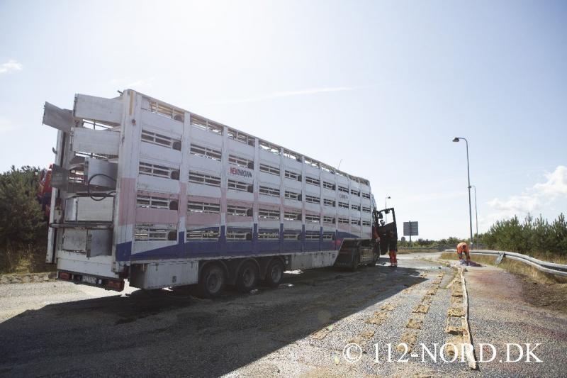 24082026-grisetransport-vaelte_t2_71.jpg