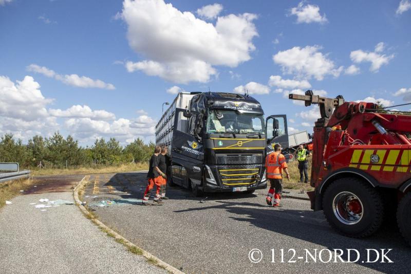 24082026-grisetransport-vaelte_t2_73.jpg