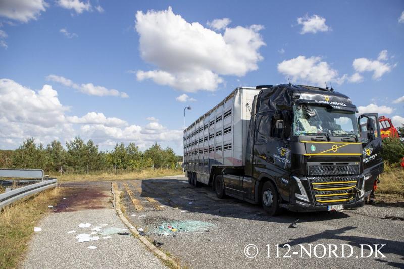 24082026-grisetransport-vaelte_t2_75.jpg